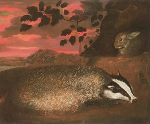 Texugo, século XVII de Francis Barlow